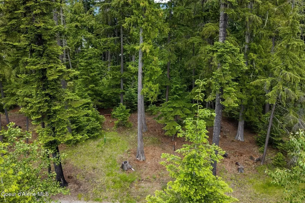 Nna Bruin Road Nordman ID 83848