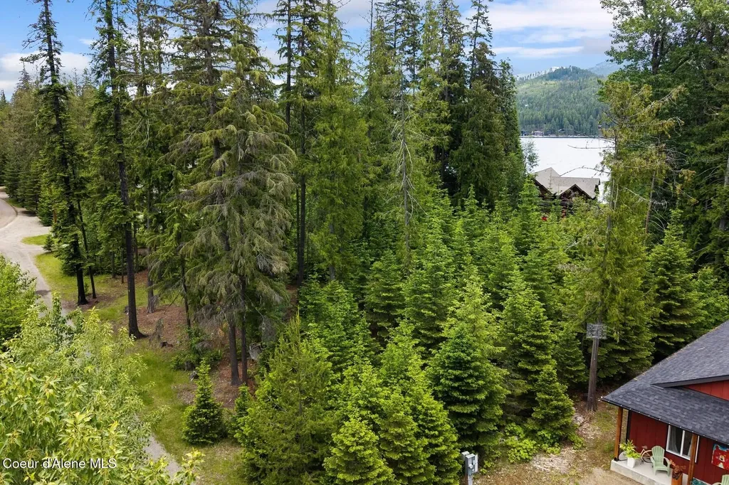 Nna Bruin Road Nordman ID 83848
