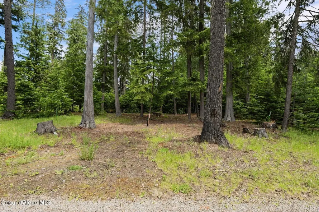 Nna Bruin Road Nordman ID 83848
