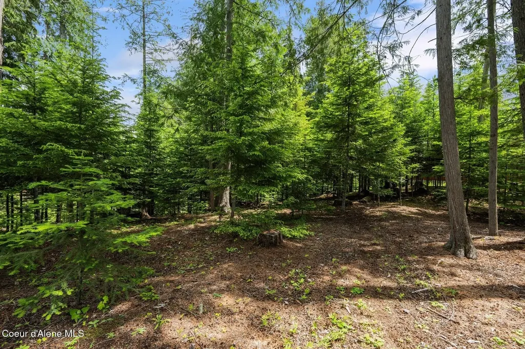 Nna Bruin Road Nordman ID 83848
