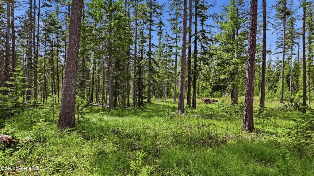 Nna Estate At Farragut Lot 3 Blk 1 Athol ID 83801
