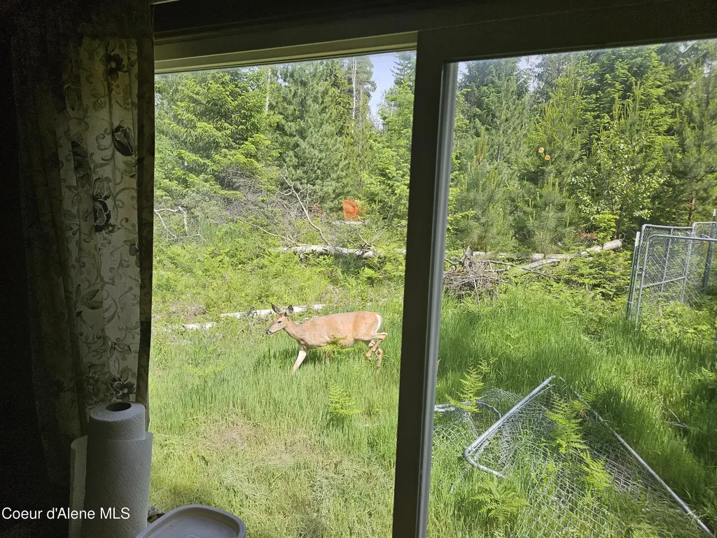 109 Geronimo Lane Sandpoint ID 83864