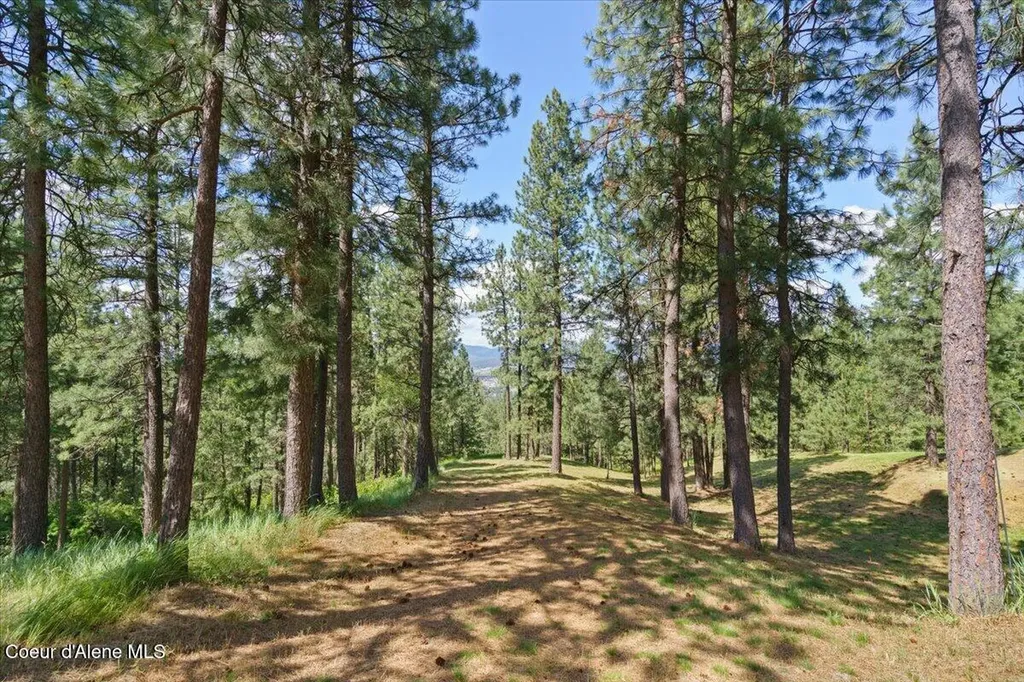 16289 W Summerfield Road Post Falls ID 83854