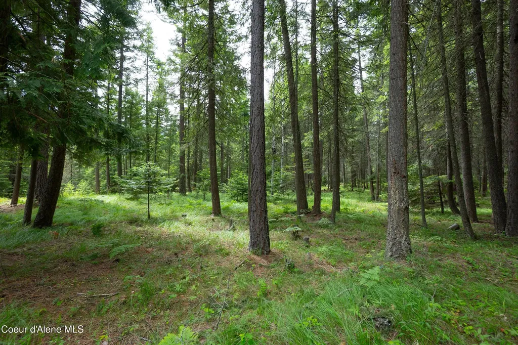 3228 Kootenai Trail Road Bonners Ferry ID 83805