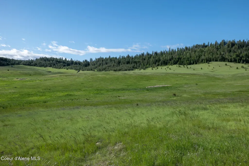 1047 Merideth Road Plummer ID 83851