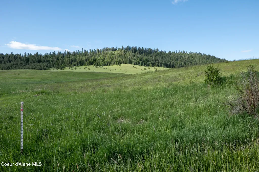 1047 Merideth Road Plummer ID 83851