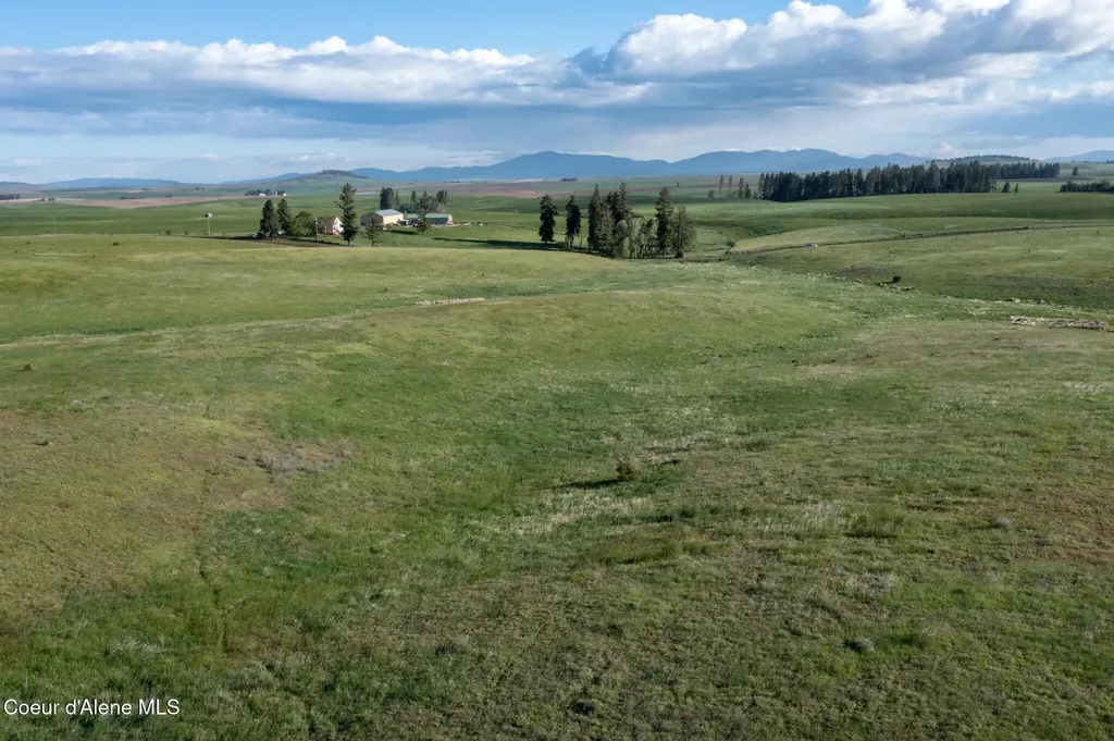 1047 Merideth Road Plummer ID 83851