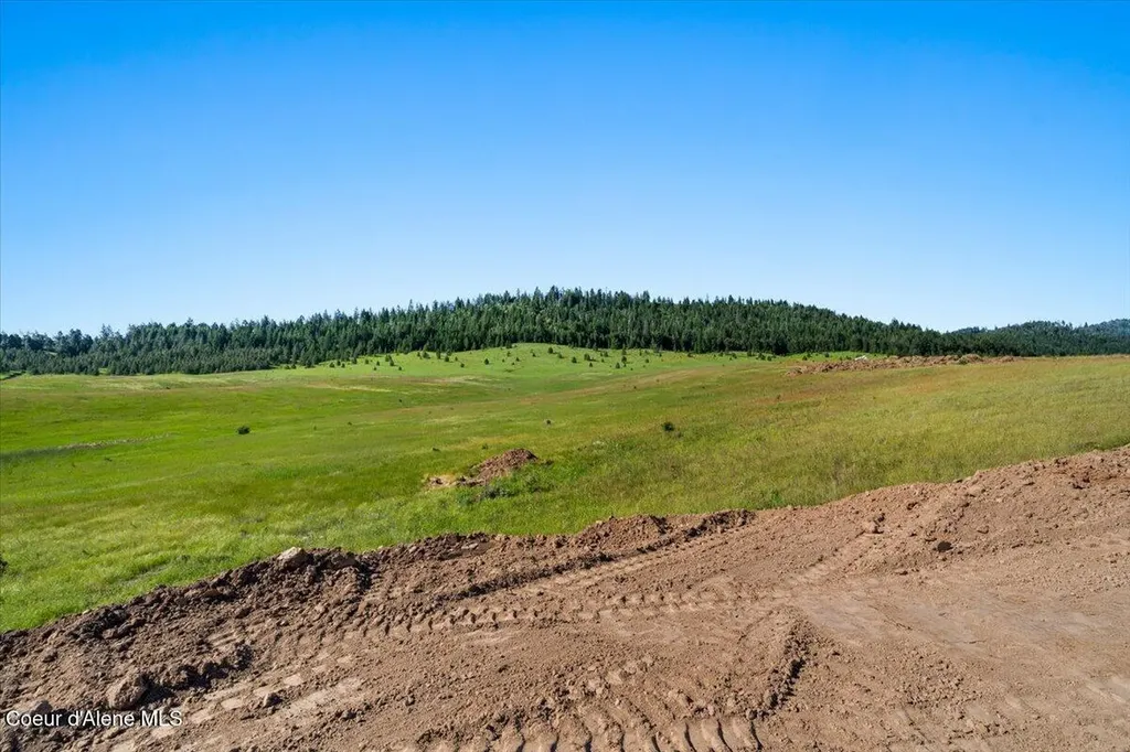 1047 Merideth Road Plummer ID 83851