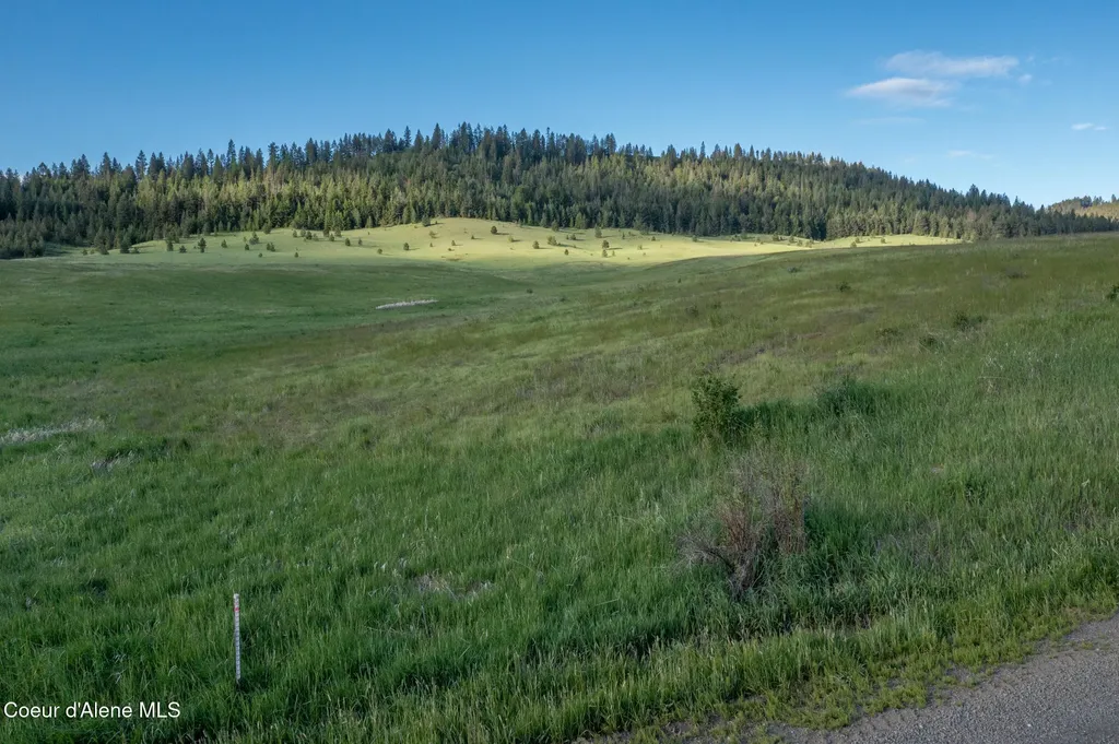 1047 Merideth Road Plummer ID 83851