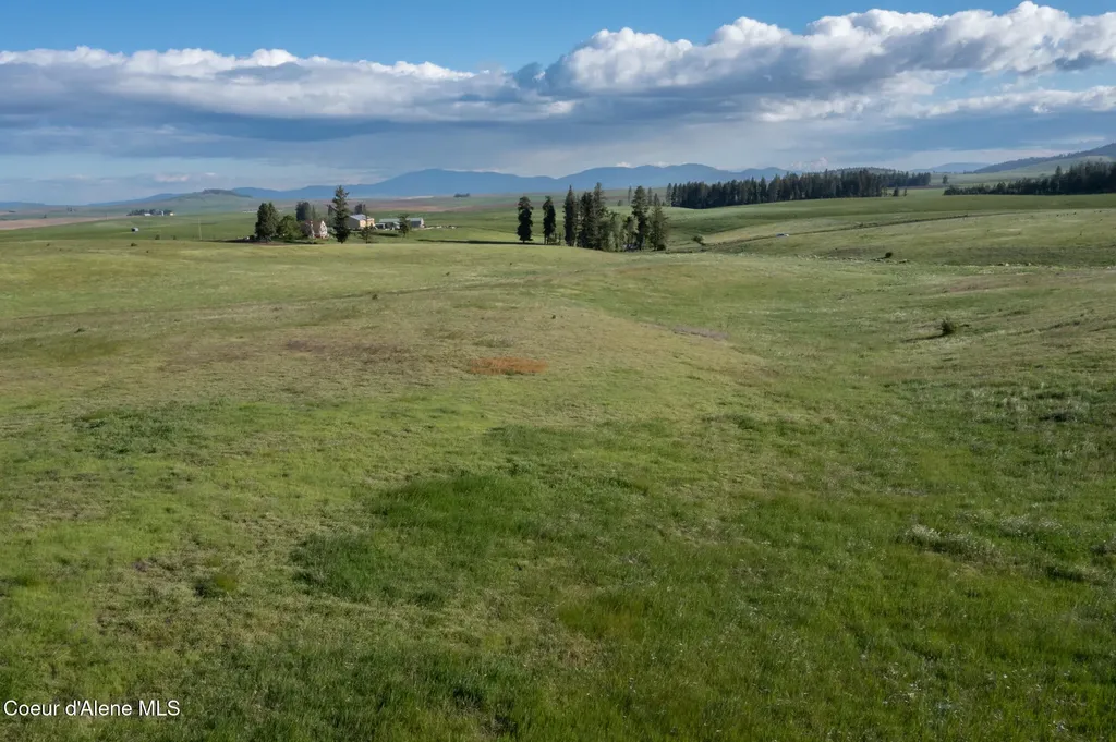 1047 Merideth Road Plummer ID 83851