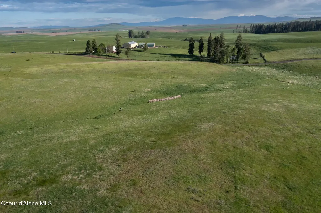 1047 Merideth Road Plummer ID 83851