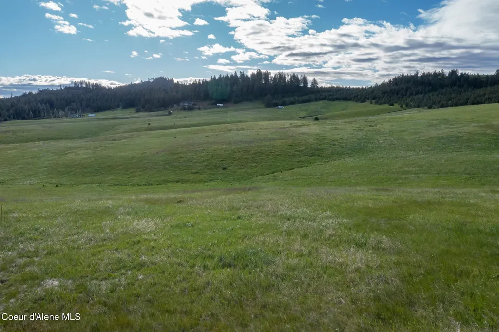 1047 Merideth Road Plummer ID 83851