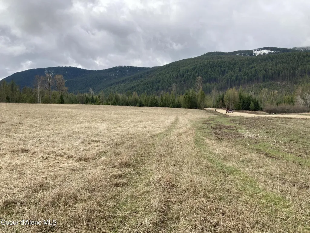Nhn S Hill Road Trout Creek MT 59874