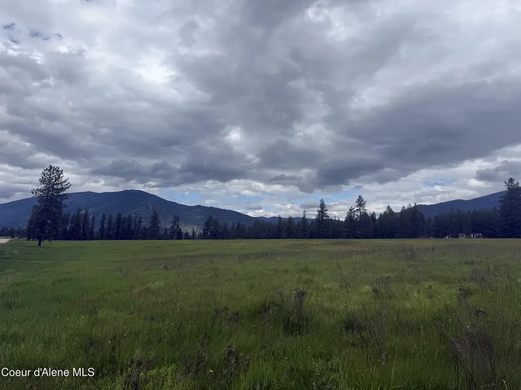 Nhn S Hill Road Trout Creek MT 59874