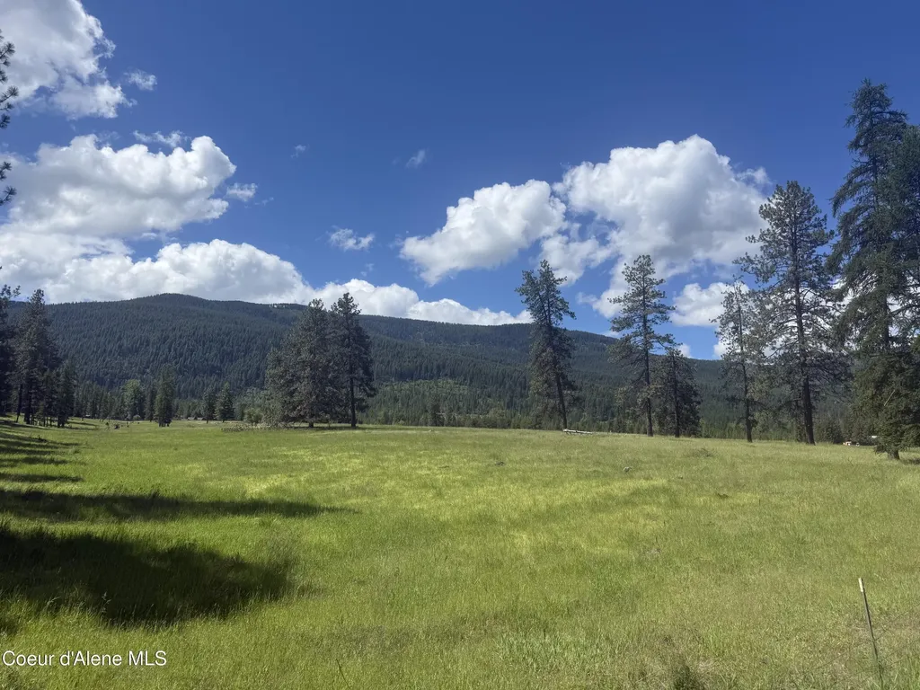 Nhn S Hill Road Trout Creek MT 59874