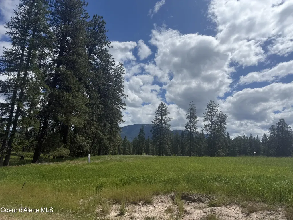 Nhn S Hill Road Trout Creek MT 59874