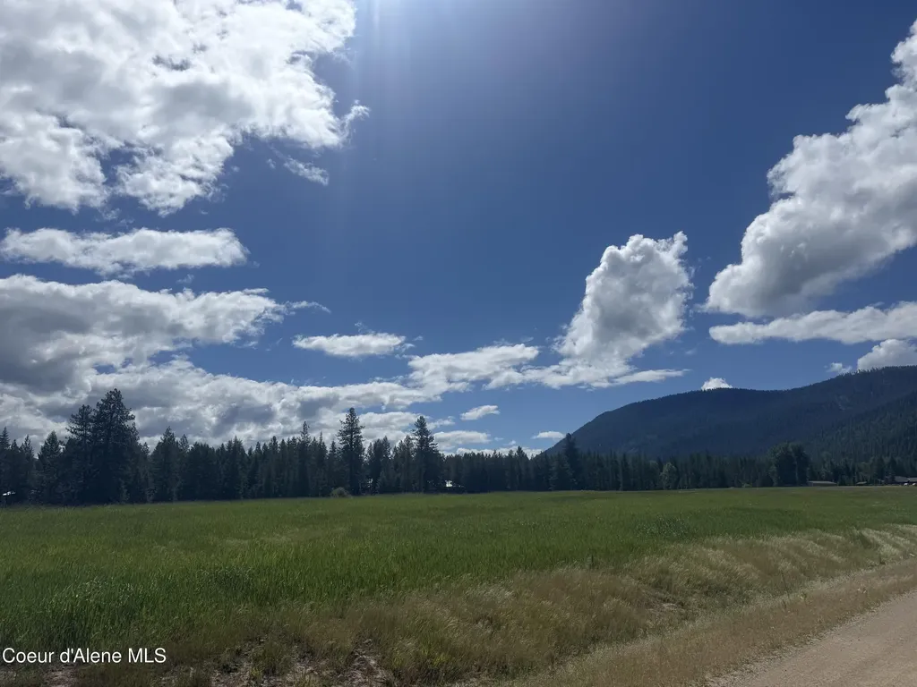 Nhn S Hill Road Trout Creek MT 59874
