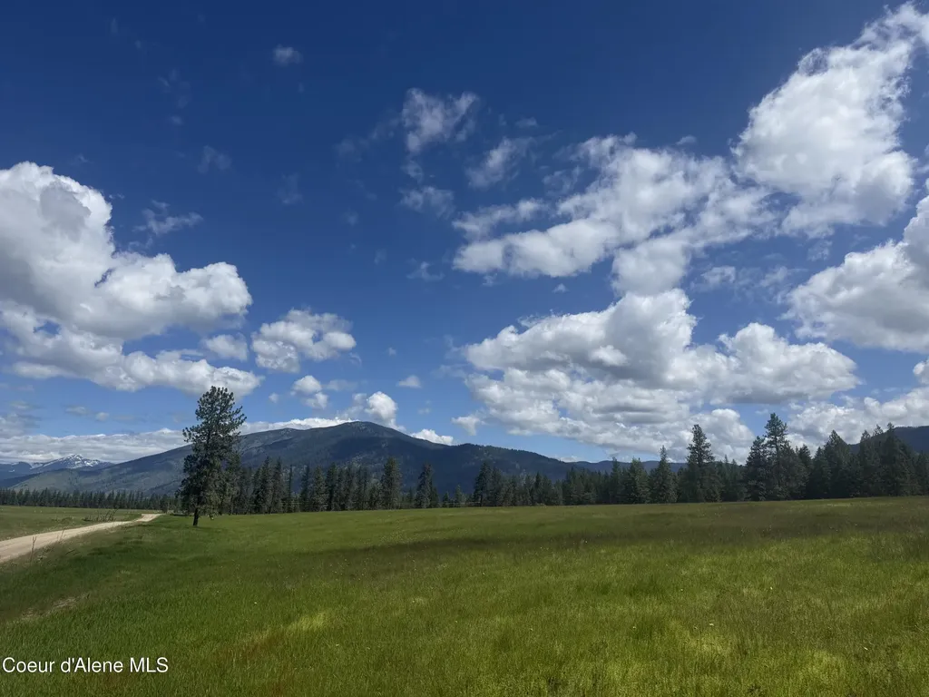 Nhn S Hill Road Trout Creek MT 59874