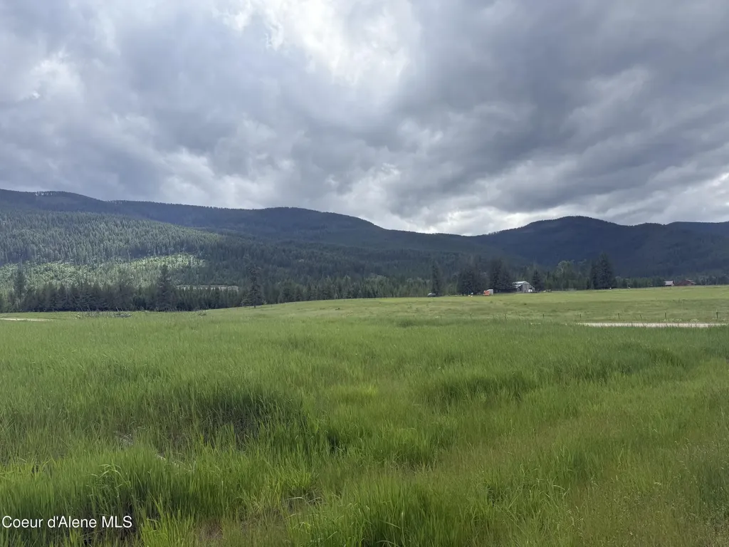 Nhn S Hill Road Trout Creek MT 59874