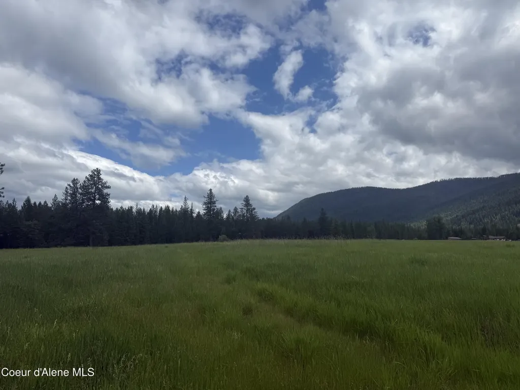 Nhn S Hill Road Trout Creek MT 59874