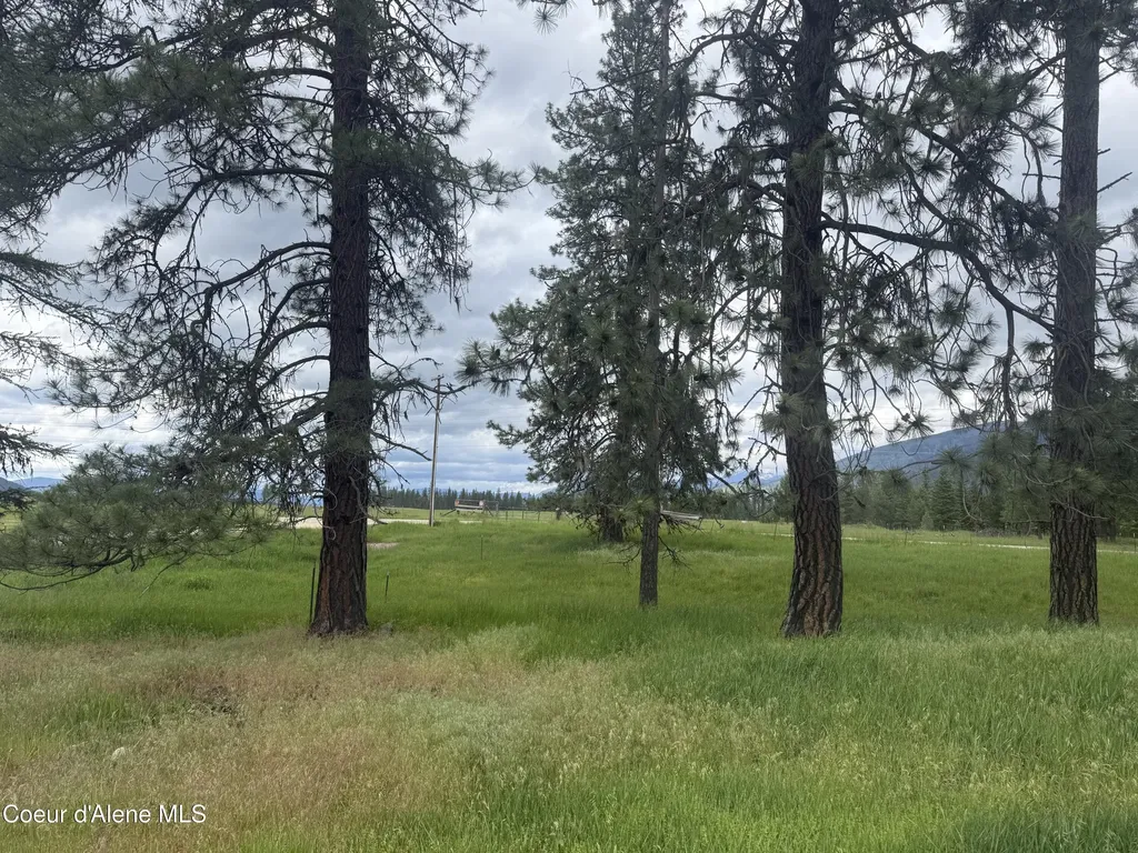 Nhn S Hill Road Trout Creek MT 59874