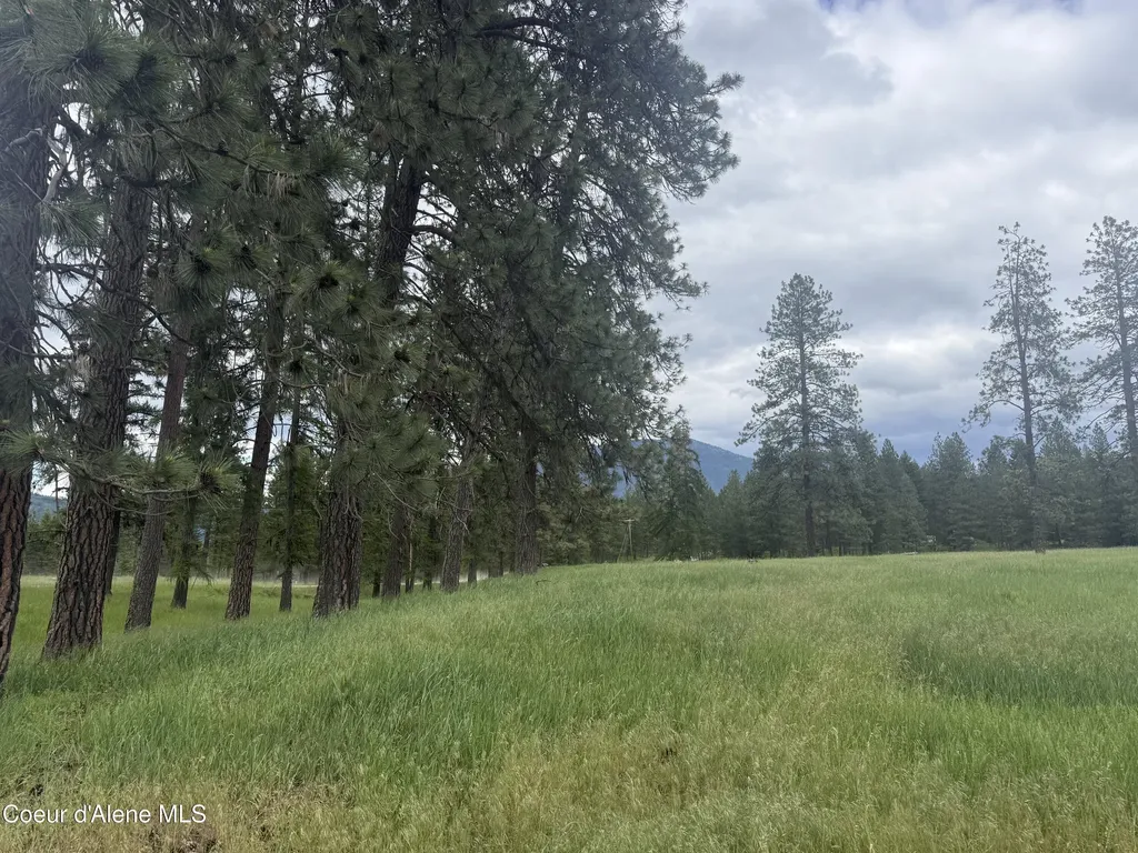 Nhn S Hill Road Trout Creek MT 59874
