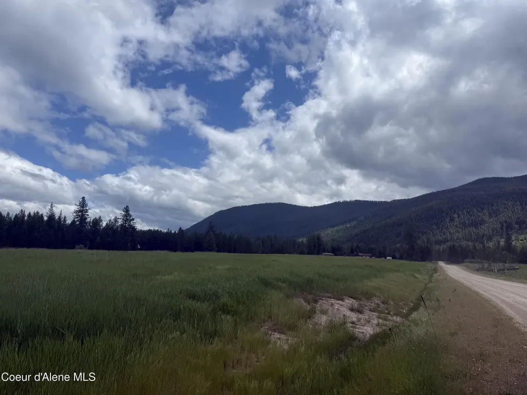 Nhn S Hill Road Trout Creek MT 59874