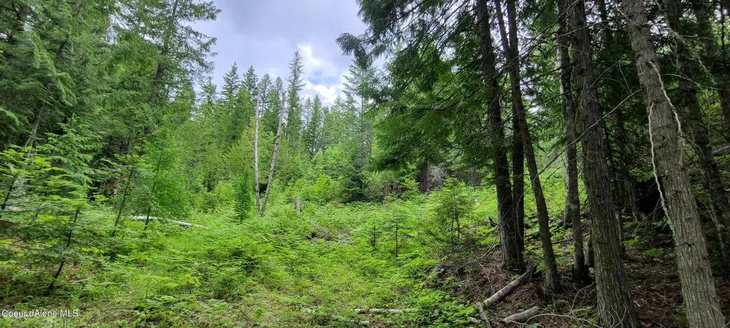 Nna W Gold Creek Ridge Road Sandpoint ID 83864
