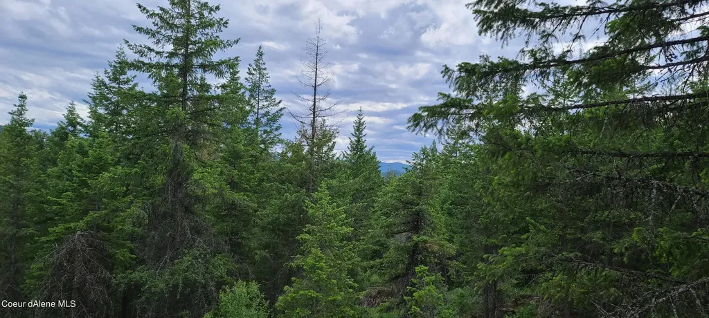 Nna W Gold Creek Ridge Road Sandpoint ID 83864
