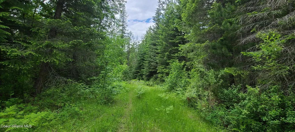 Nna W Gold Creek Ridge Road Sandpoint ID 83864