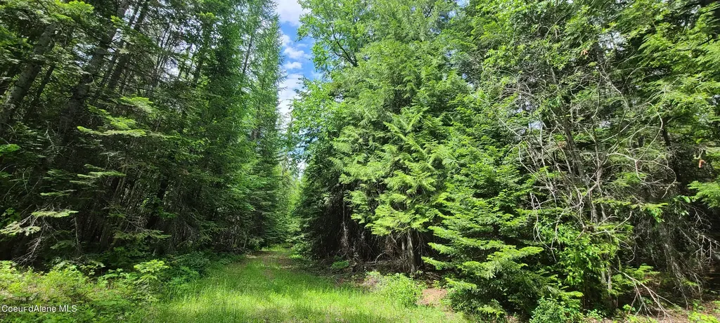 Nna W Gold Creek Ridge Road Sandpoint ID 83864