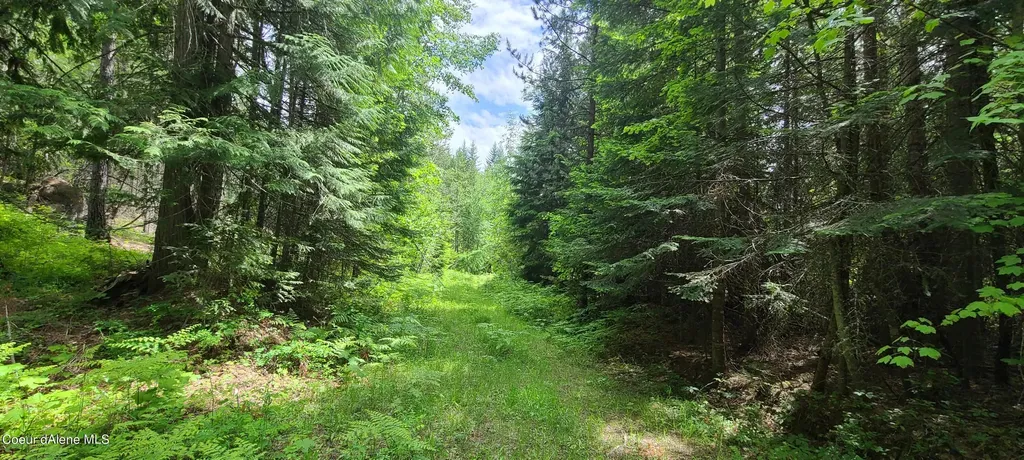 Nna W Gold Creek Ridge Road Sandpoint ID 83864
