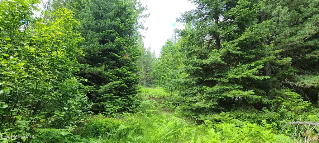 Nna W Gold Creek Ridge Road Sandpoint ID 83864