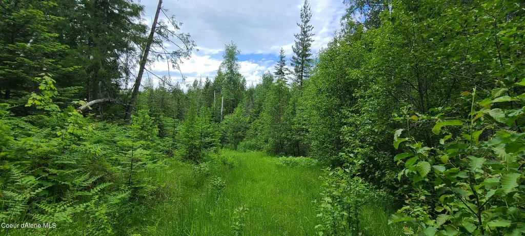 Nna W Gold Creek Ridge Road Sandpoint ID 83864