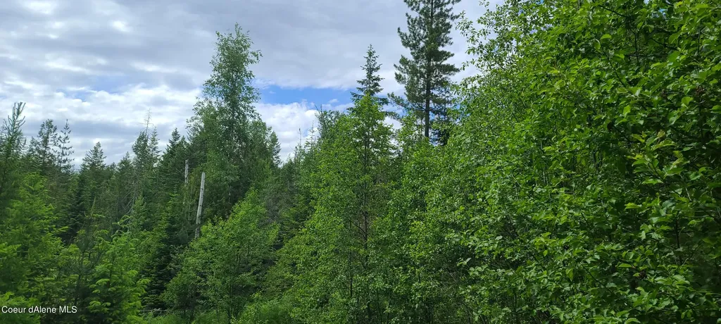 Nna W Gold Creek Ridge Road Sandpoint ID 83864