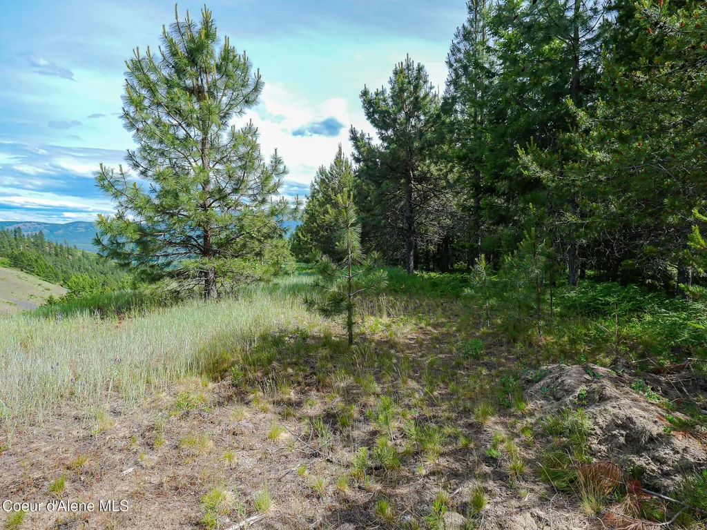 105 Ponderosa Way Bonners Ferry ID 83805