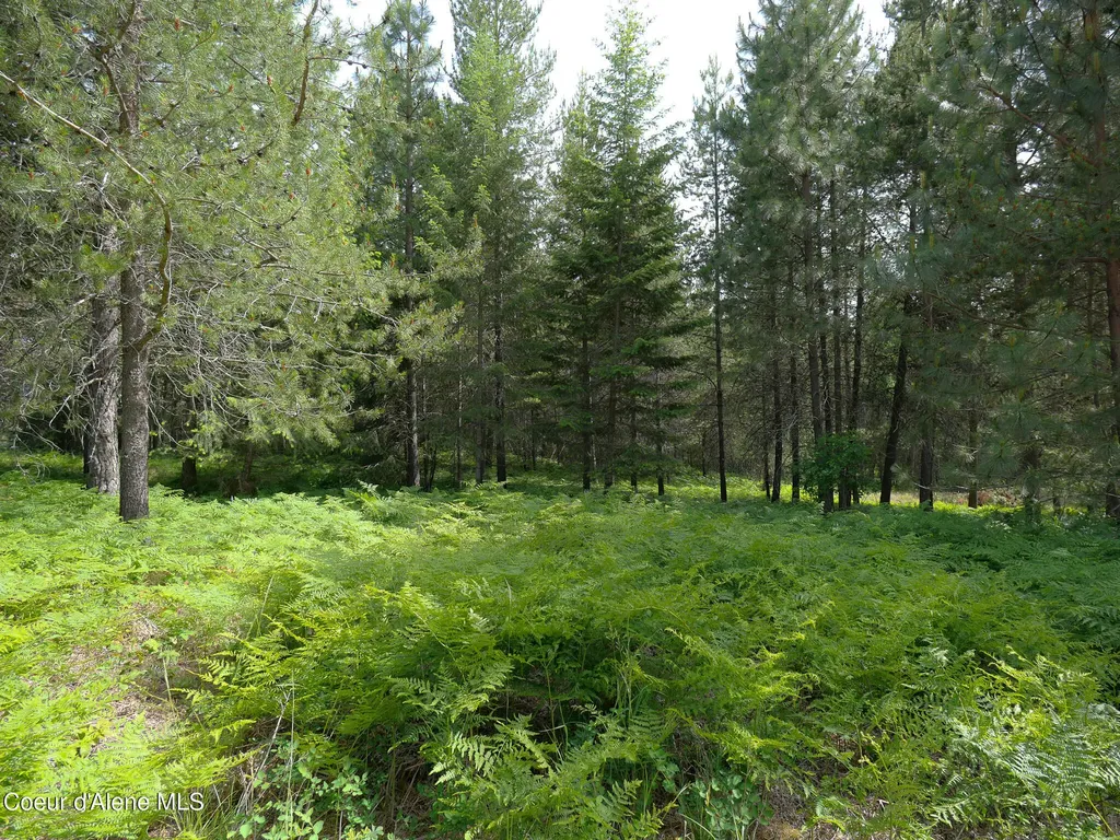 105 Ponderosa Way Bonners Ferry ID 83805