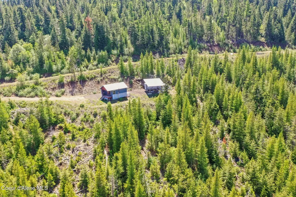 1872 Wildflower Drive St. Maries ID 83861