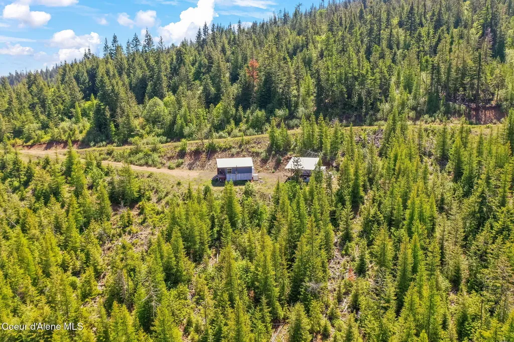 1872 Wildflower Drive St. Maries ID 83861