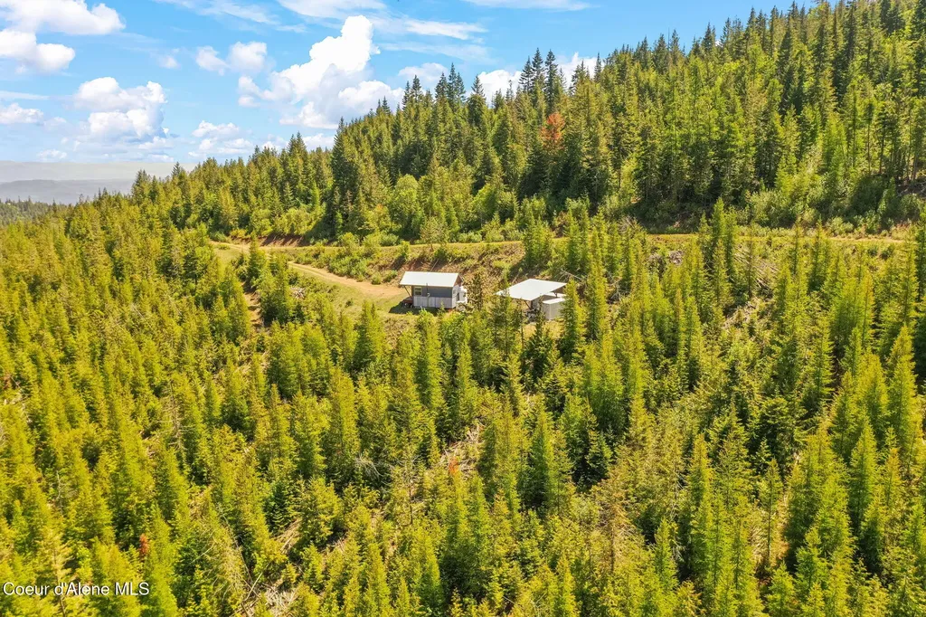 1872 Wildflower Drive St. Maries ID 83861