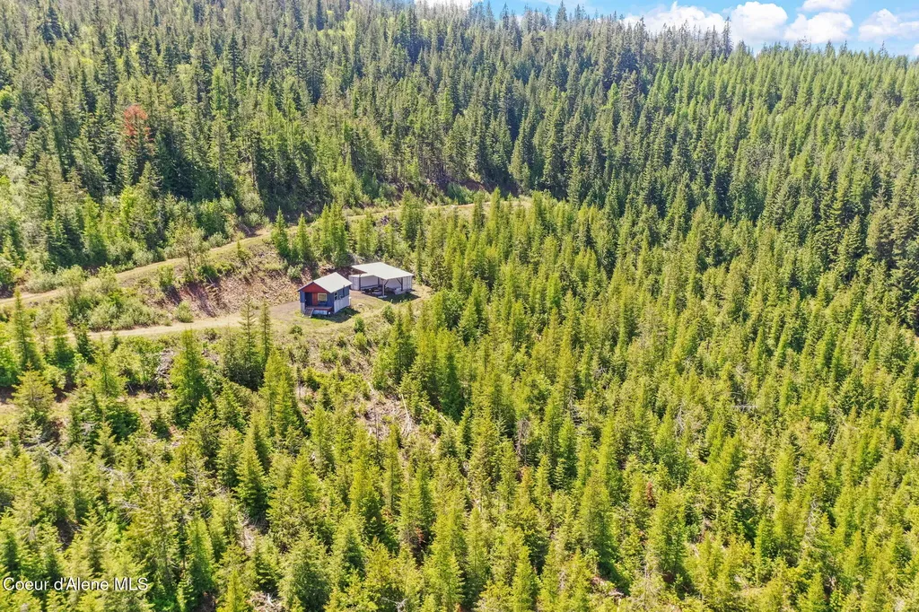 1872 Wildflower Drive St. Maries ID 83861