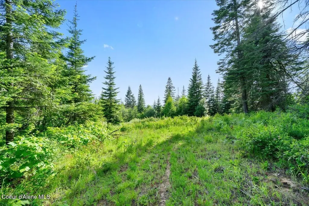17378 N Freddi Road Rathdrum ID 83858
