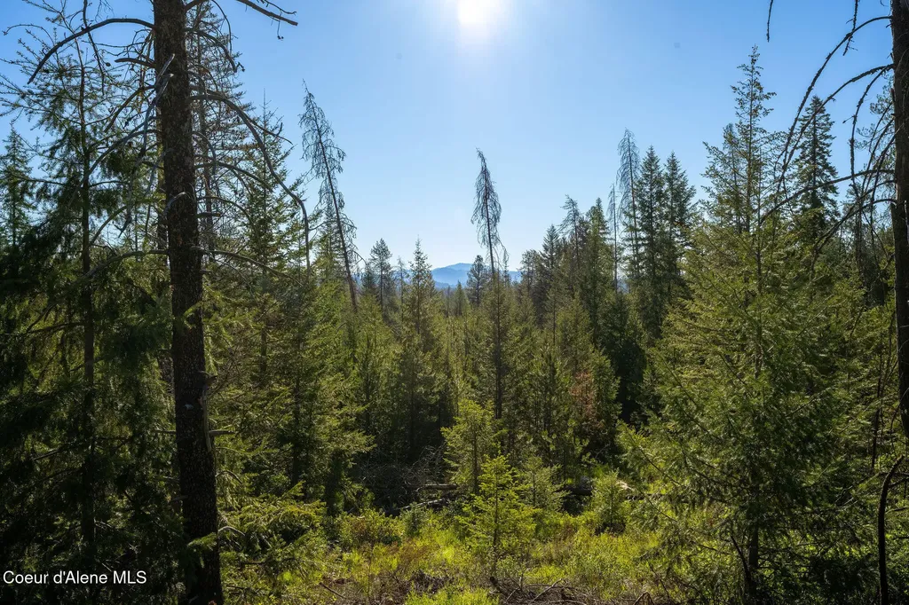 91 Pride Court Spirit Lake ID 83869