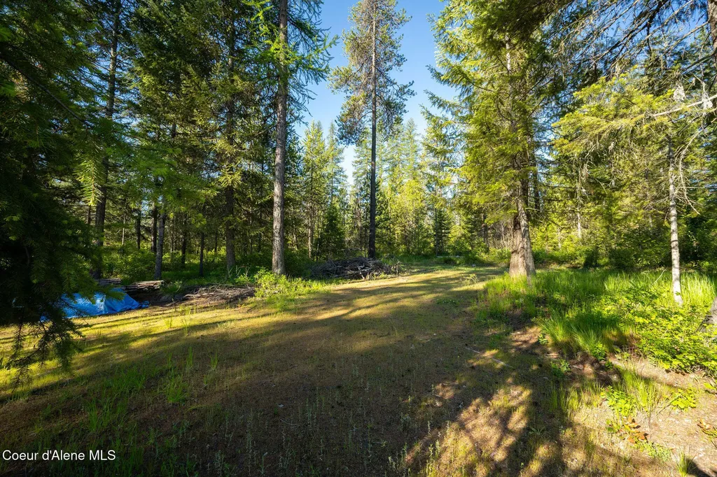 91 Pride Court Spirit Lake ID 83869