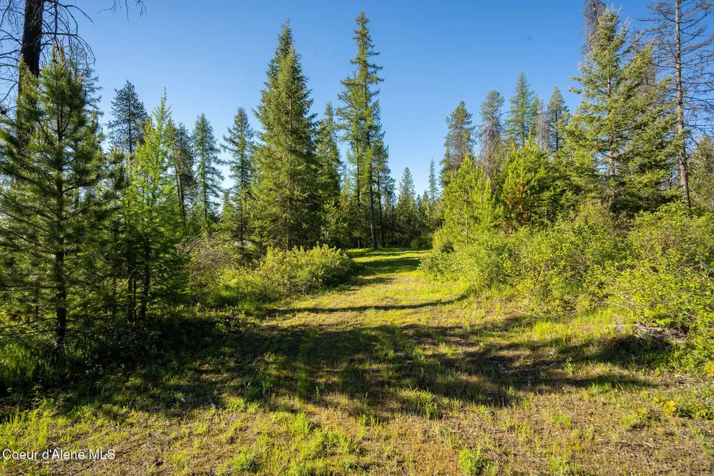 91 Pride Court Spirit Lake ID 83869