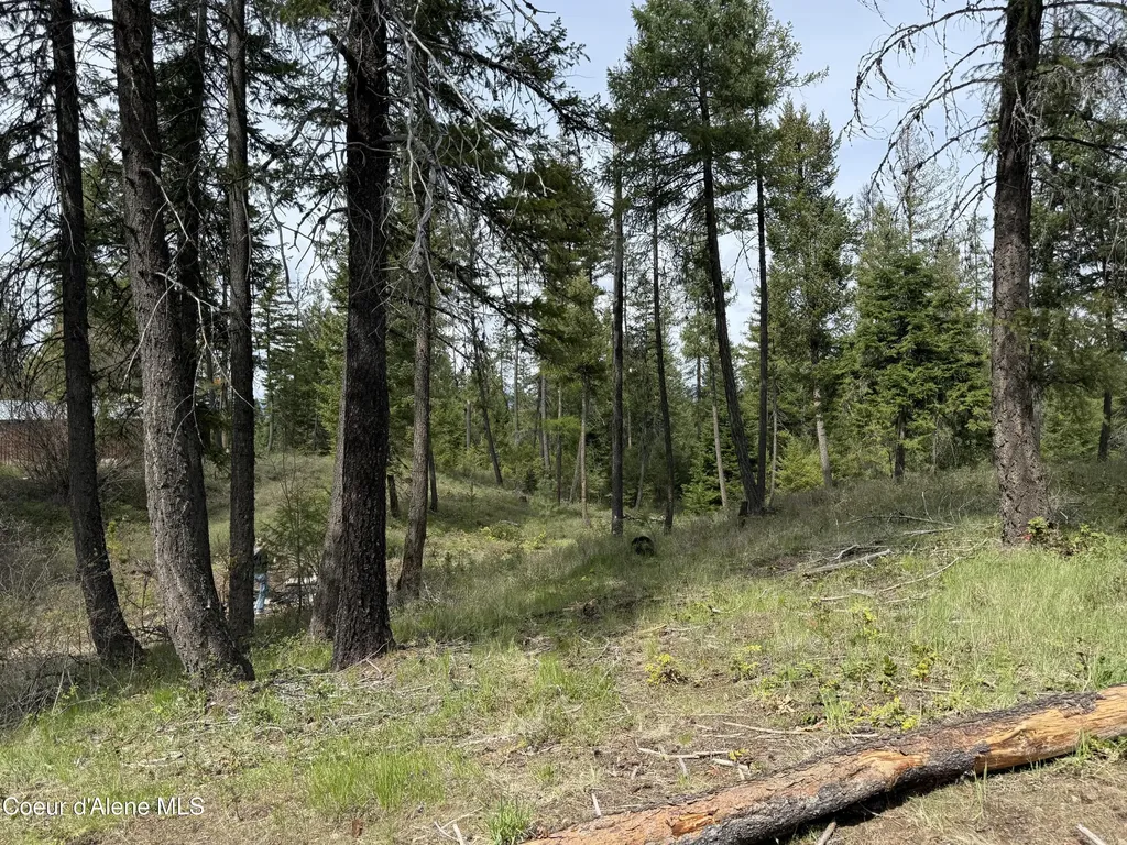 36701 Highway 41 Oldtown ID 83822