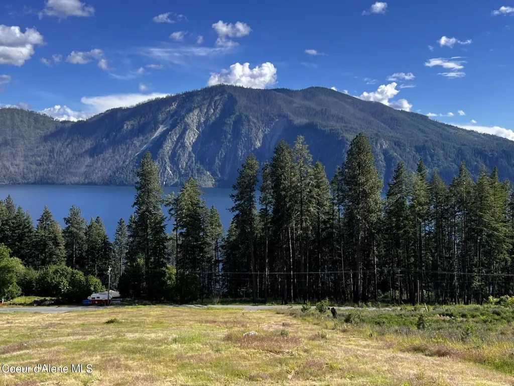 Lt 1 Blk 3 Moose Track / E Cape Horn Road Bayview ID 83803