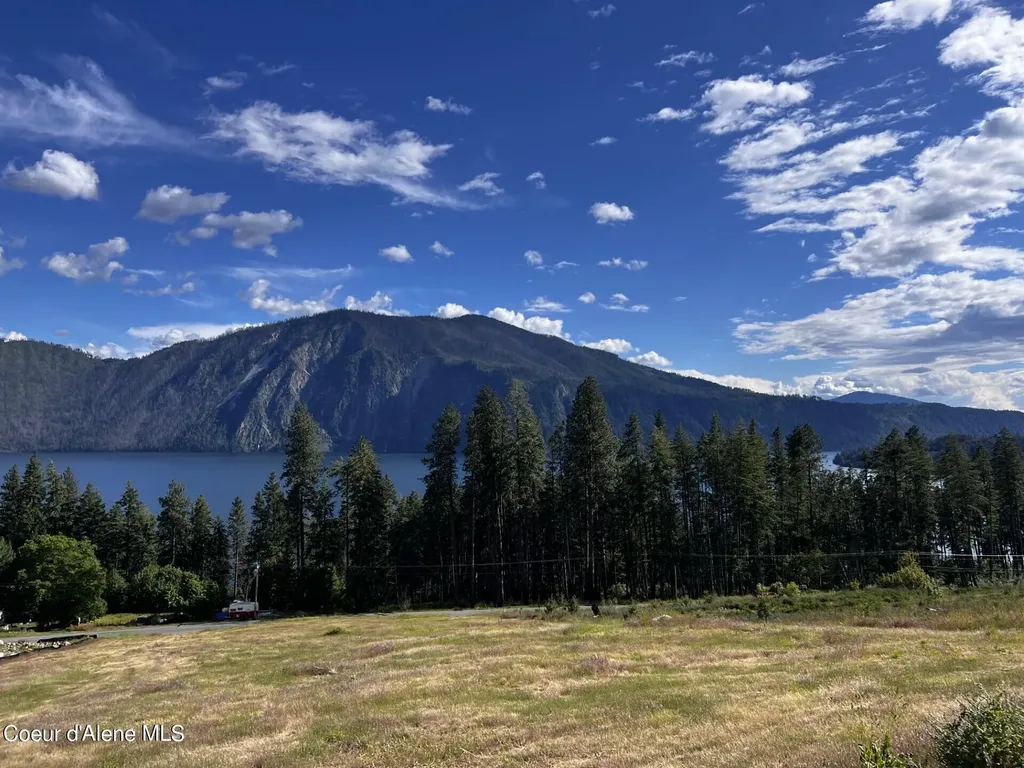 Lt 1 Blk 3 Moose Track / E Cape Horn Road Bayview ID 83803