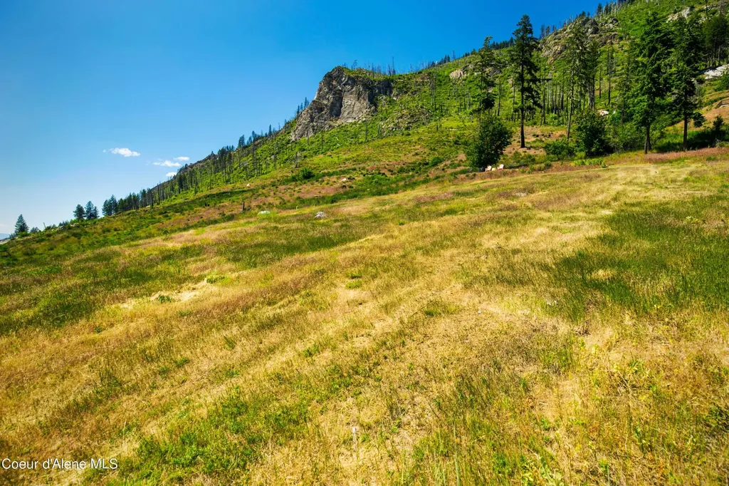 Lt 1 Blk 3 Moose Track / E Cape Horn Road Bayview ID 83803