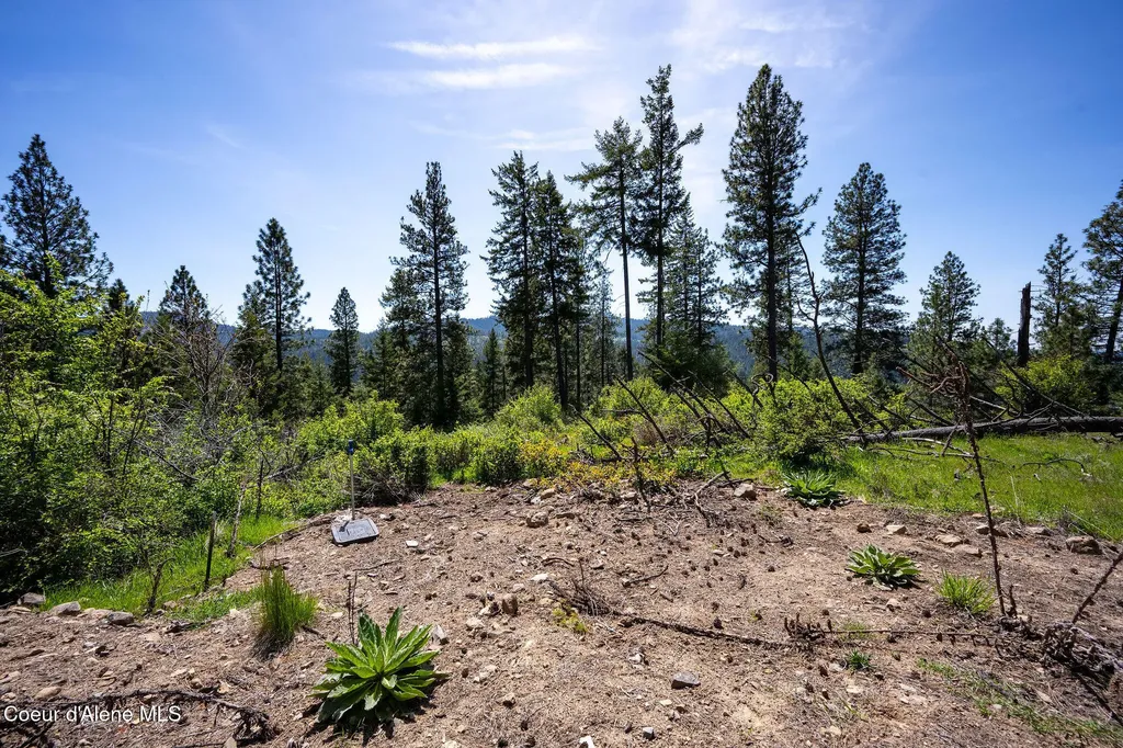 L11 B3 Hanson Road Harrison ID 83833